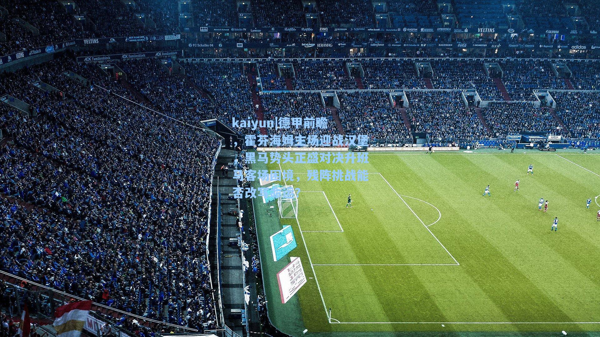 kaiyun|德甲前瞻，霍芬海姆主场迎战汉堡，黑马势头正盛对决升班马客场困境，残阵挑战能否改写命运？